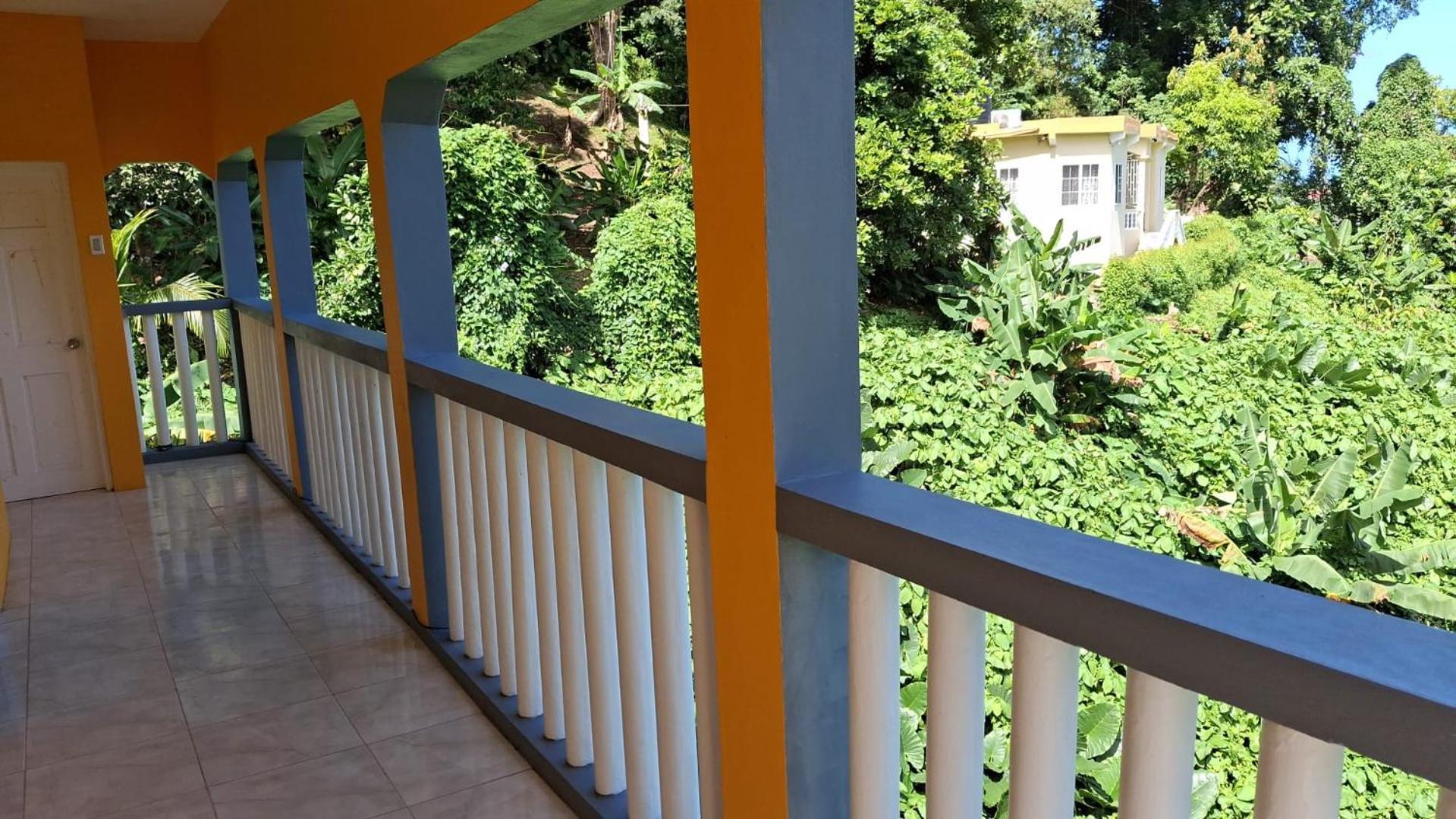 Viva Violas Port Antonio Exteriér fotografie
