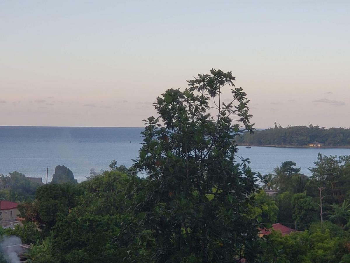 Viva Violas Port Antonio Exteriér fotografie