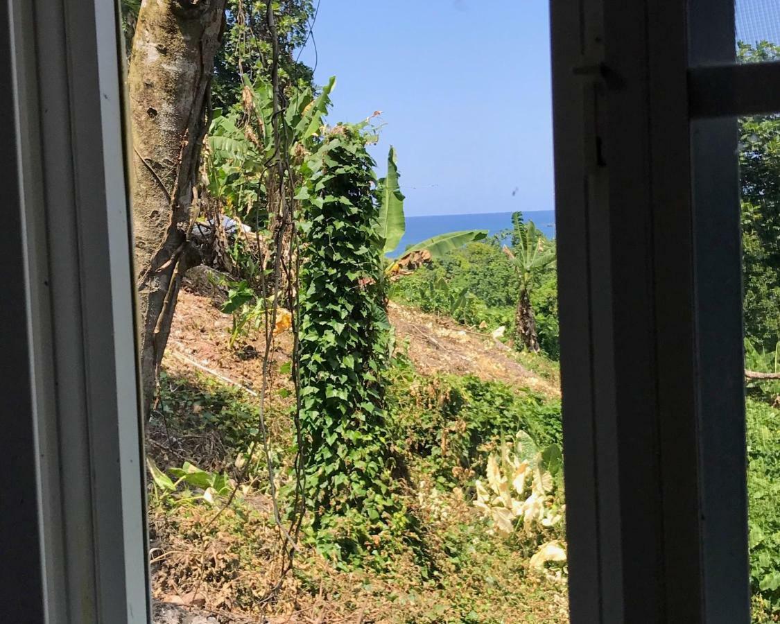 Viva Violas Port Antonio Exteriér fotografie